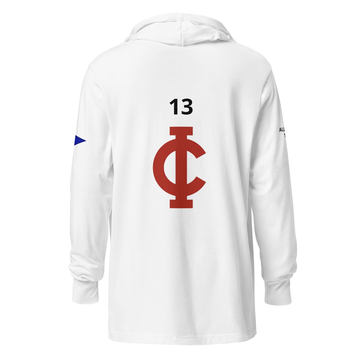 Hooded long-sleeve tee